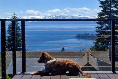 Molly Kingston Final