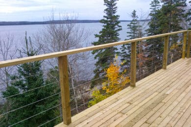 IMG-20121103-00065 copy