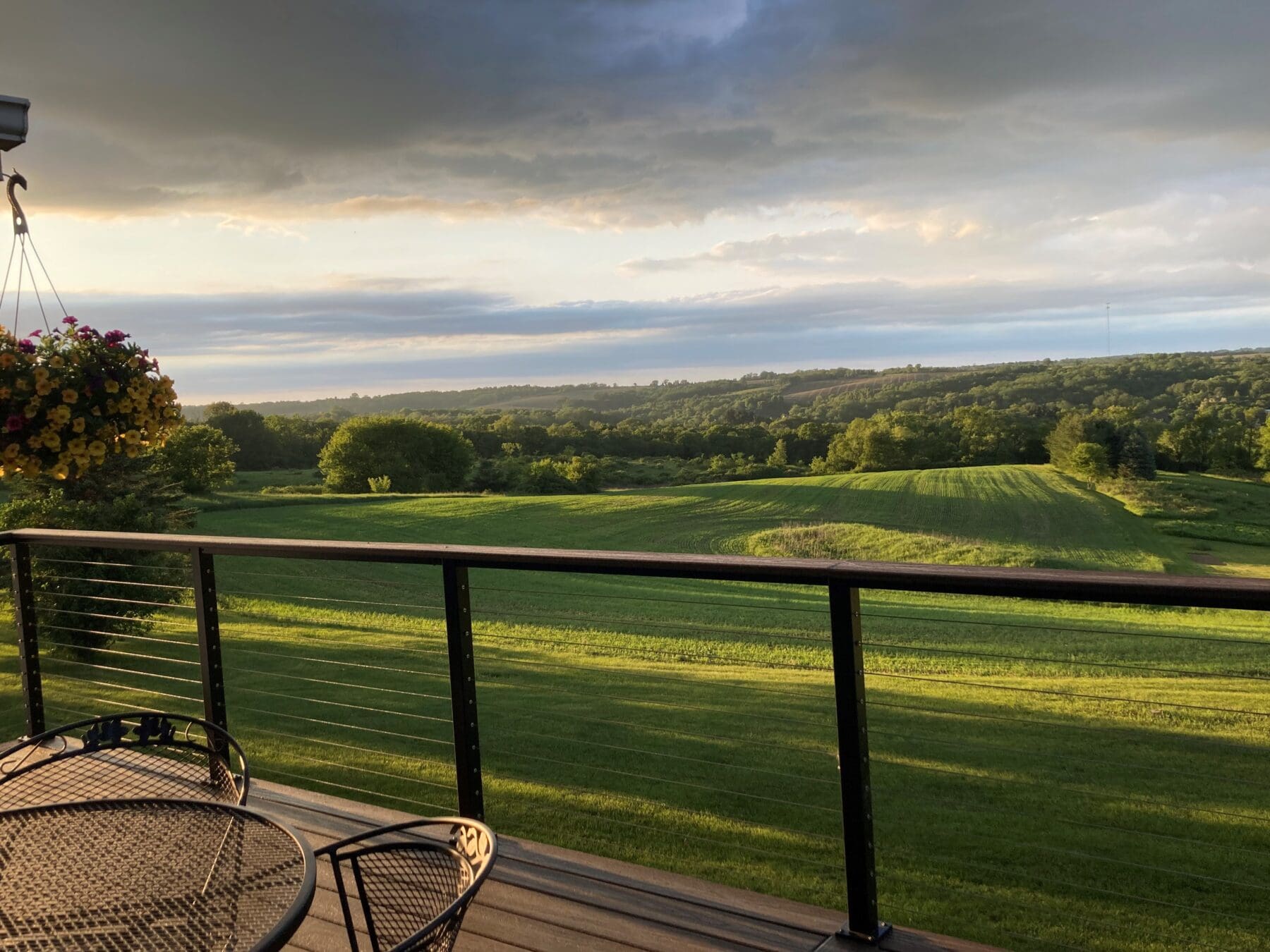 What Is Cable Railing? A Modern Railing System for Homeowner