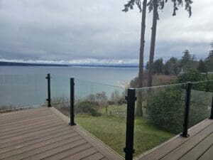 Black Vision – Hat Island, WA