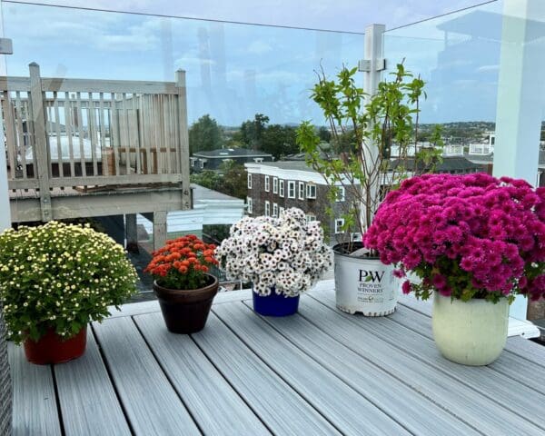 Gallery photo 5