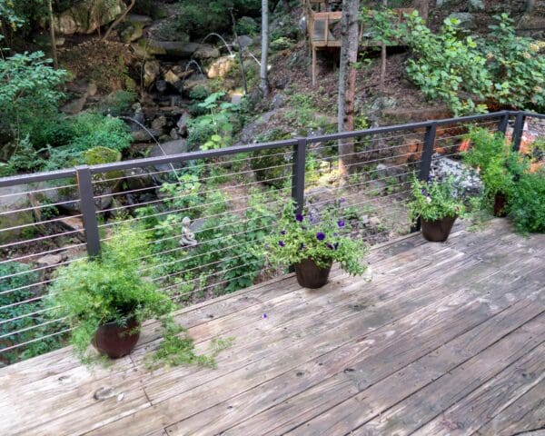 Gallery photo 1